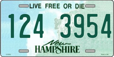 NH license plate 1243954