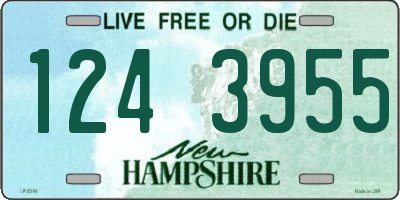 NH license plate 1243955