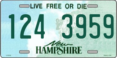 NH license plate 1243959