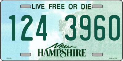 NH license plate 1243960
