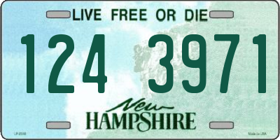 NH license plate 1243971