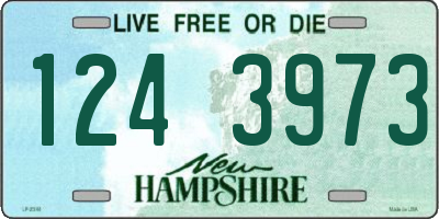 NH license plate 1243973