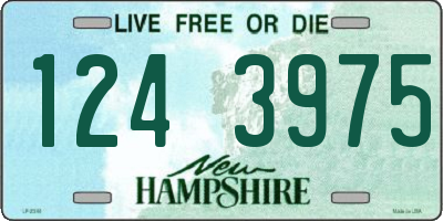 NH license plate 1243975