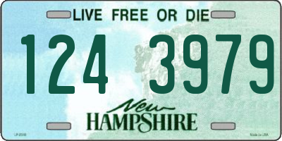 NH license plate 1243979