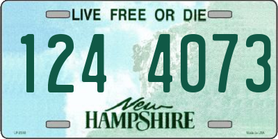 NH license plate 1244073