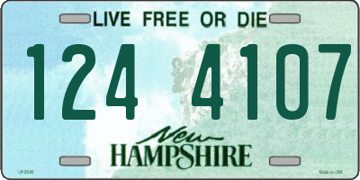 NH license plate 1244107