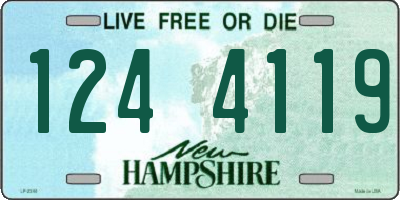 NH license plate 1244119