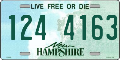NH license plate 1244163