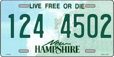 NH license plate 1244502