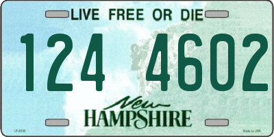 NH license plate 1244602