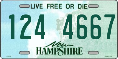 NH license plate 1244667