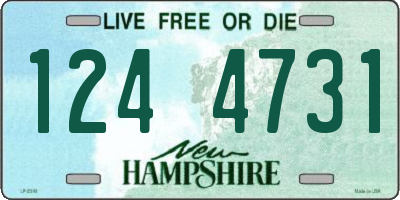 NH license plate 1244731