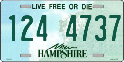 NH license plate 1244737