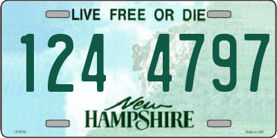 NH license plate 1244797
