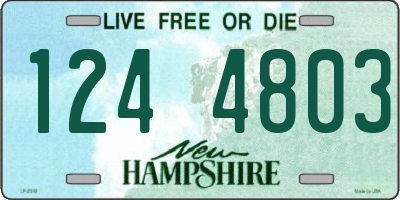 NH license plate 1244803