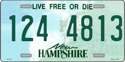 NH license plate 1244813