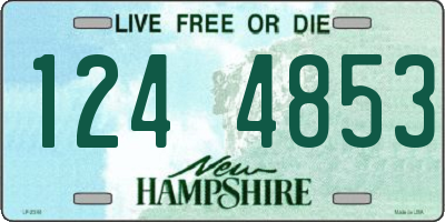 NH license plate 1244853