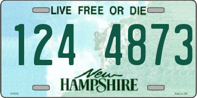 NH license plate 1244873