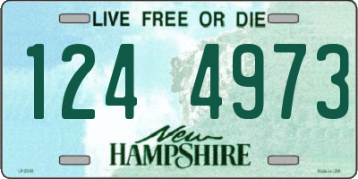 NH license plate 1244973