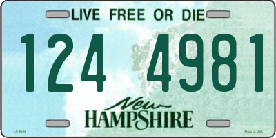NH license plate 1244981