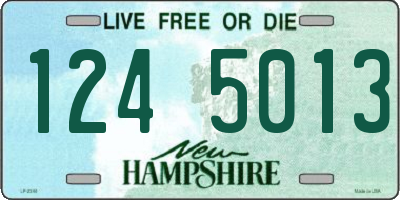 NH license plate 1245013