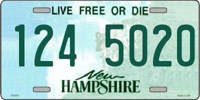 NH license plate 1245020