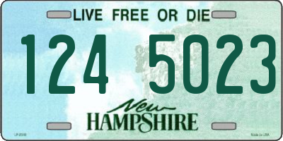NH license plate 1245023