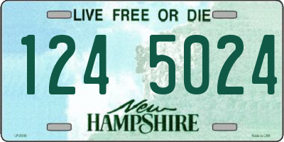 NH license plate 1245024