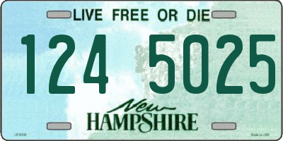 NH license plate 1245025