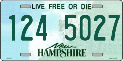 NH license plate 1245027