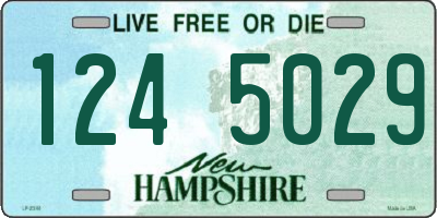 NH license plate 1245029