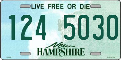 NH license plate 1245030