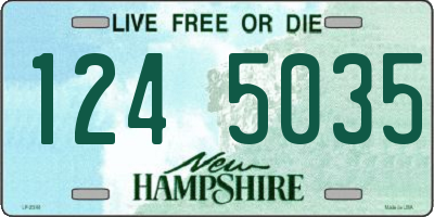 NH license plate 1245035