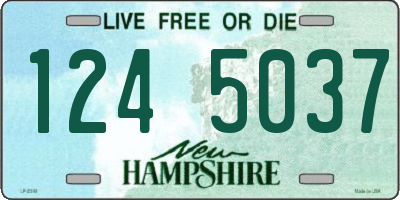 NH license plate 1245037