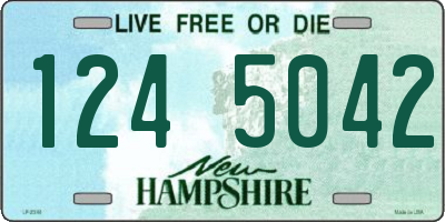 NH license plate 1245042