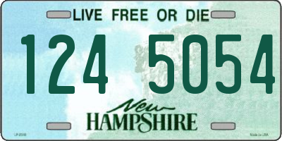 NH license plate 1245054