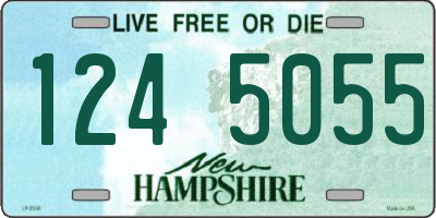 NH license plate 1245055