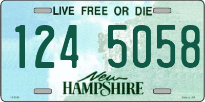 NH license plate 1245058