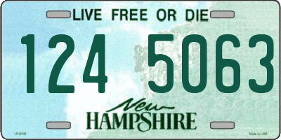 NH license plate 1245063