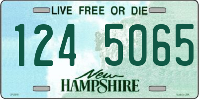 NH license plate 1245065