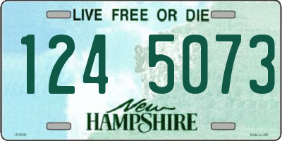 NH license plate 1245073