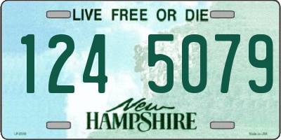 NH license plate 1245079