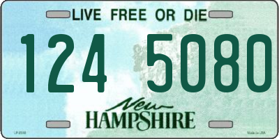 NH license plate 1245080