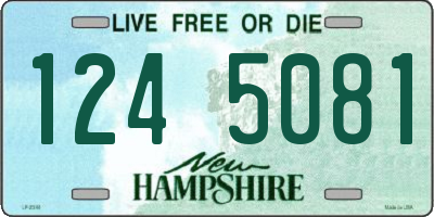 NH license plate 1245081