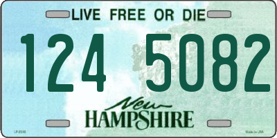 NH license plate 1245082