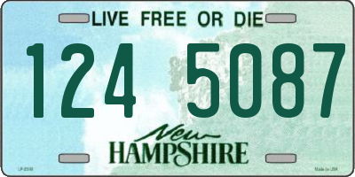 NH license plate 1245087