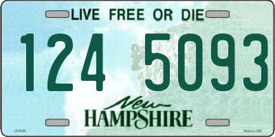 NH license plate 1245093