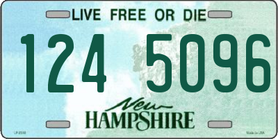NH license plate 1245096