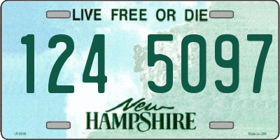 NH license plate 1245097