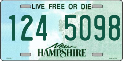 NH license plate 1245098